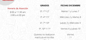 matriculas